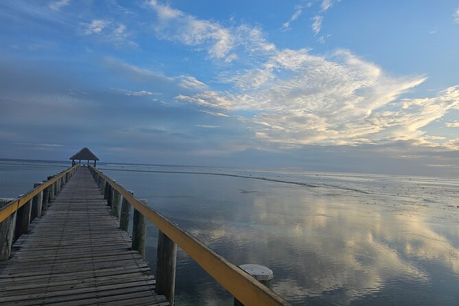 Premier Transfers and Tours Fiji - Private transport makes the first day easier