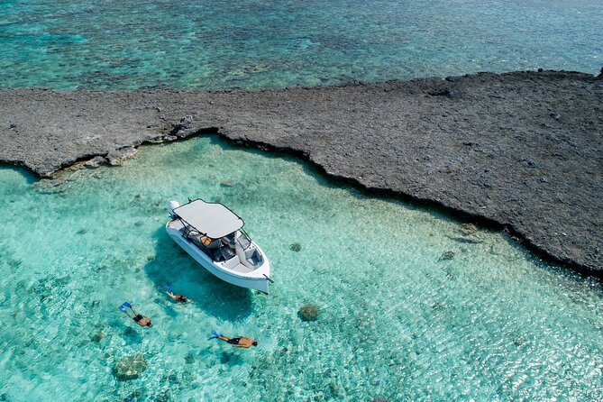 Private 4 Hours Reef Discovery Luxury Private Treasure Hunt in Bora Bora - Key points to know before you book