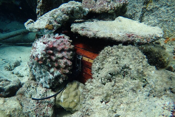 Private 4 Hours Reef Discovery Luxury Private Treasure Hunt in Bora Bora - Stop one: clues, water, and the first signs of marine life