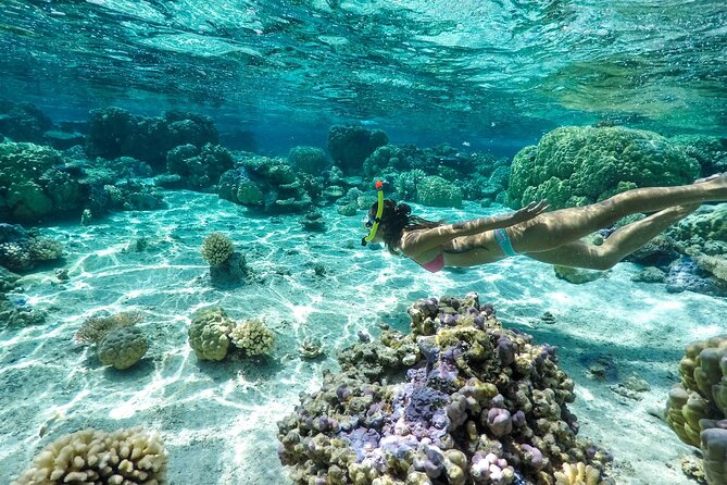 Private 4 Hours Reef Discovery Luxury Private Treasure Hunt in Bora Bora - The coral garden stop and what children can learn