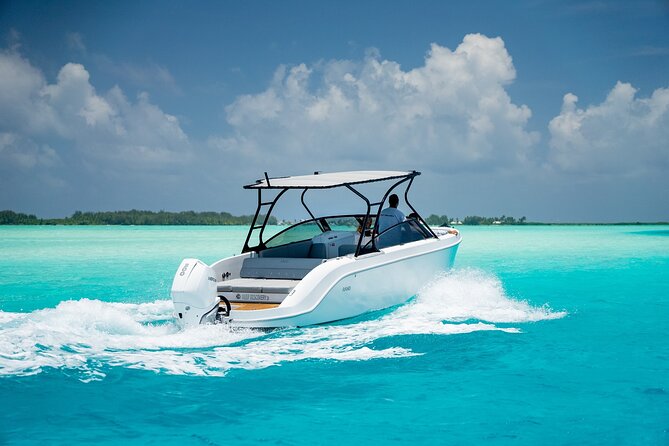 Private 4 Hours Reef Discovery Luxury Private Treasure Hunt in Bora Bora - The $1,068.76 price: when the private format earns its keep