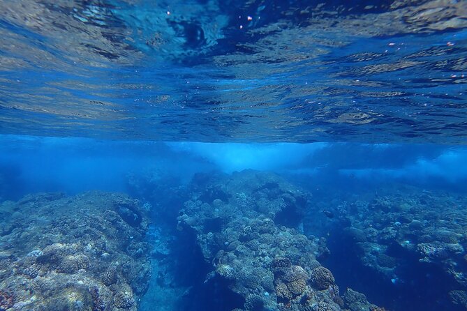 Private 4 Hours Reef Discovery Luxury Private Treasure Hunt in Bora Bora - Setting out at 9:00 a.m. on a private boat