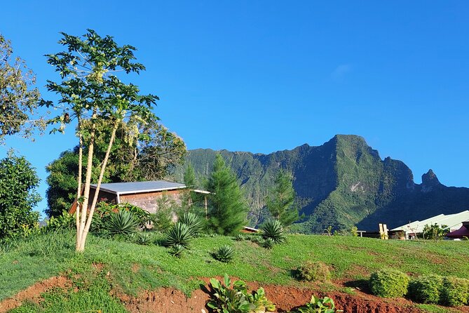 Private and guided visit to Mystery House Raiatea - Why Mystery House Raiatea Feels So Strange