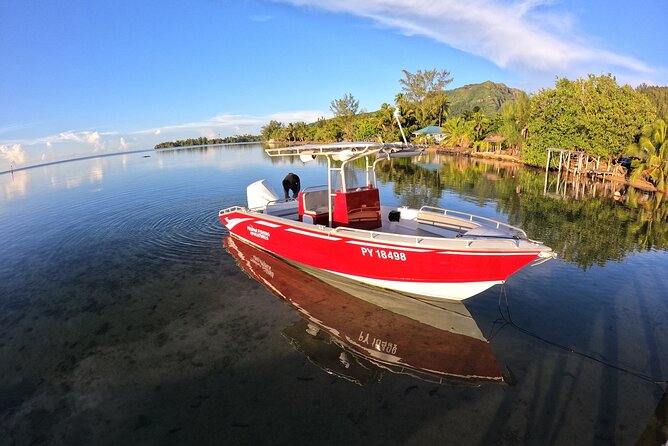 Private Big Game Fishing Day - A 6:00 a.m. start sets the tone