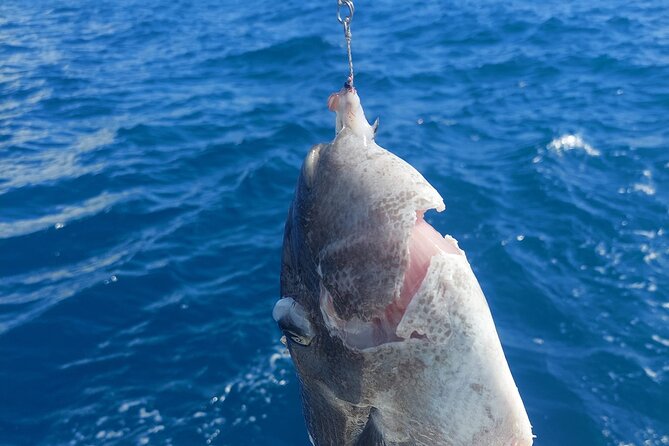 Private Big Game Fishing Tour in Raiatea - Who should book this Raiatea excursion?