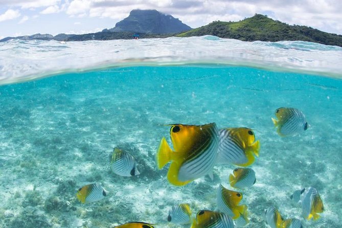 Private Boat Rental on Cap Camarat 25ft - The captain can shape the mood of the day