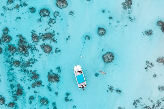 Private Boat Tour of Moorea Lagoon - Looking for dolphins and other wild animals