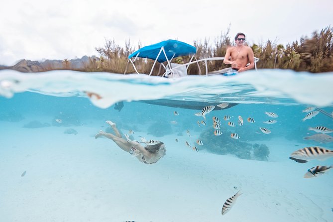 Private Boat Tour of Moorea Lagoon - Timing, weather, and physical demands