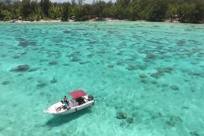 Private Bora Bora Lagoon Experience - Coral gardens are the main event