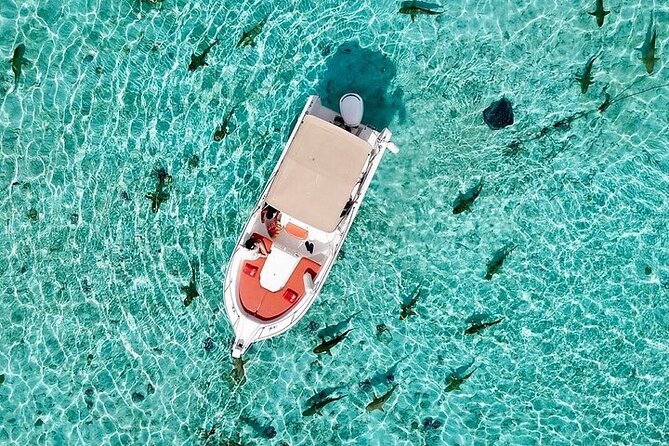 Private Bora Bora Lagoon Experience - Three and a half hours, used your way