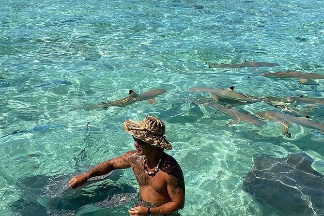 Private Bora Bora Lagoon Experience - Is $641.33 a good value?