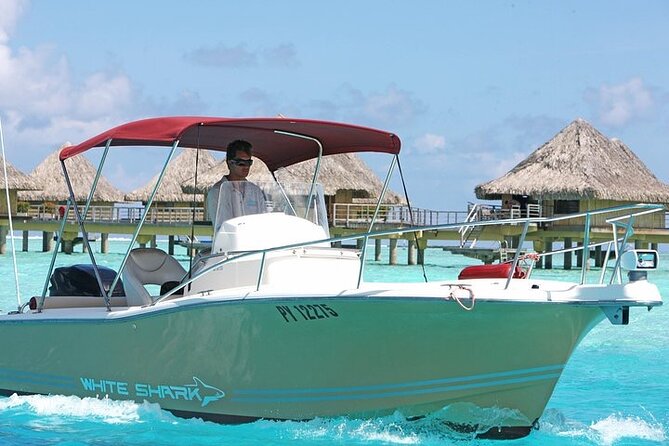 Private Bora Bora Lagoon Experience - Rays, reef sharks, and the wildlife route