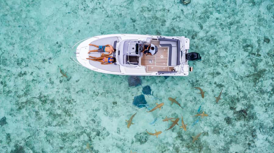 Private Bora Bora Lagoon Snorkel Cruise with BBQ Picnic - Who will enjoy this Bora Bora outing most