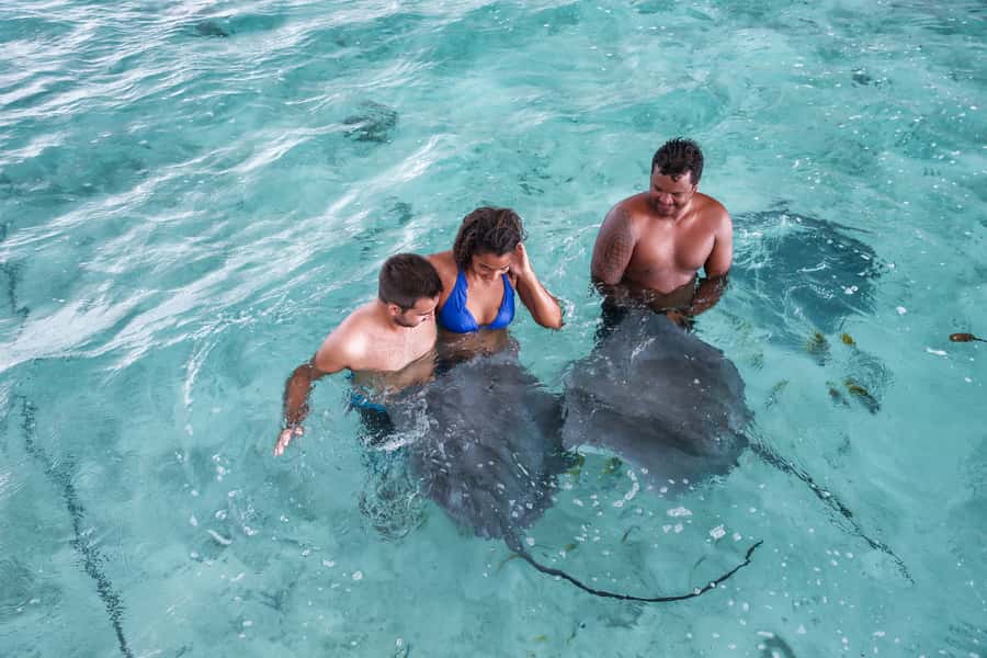 Private Bora Bora Lagoon Snorkel Cruise with BBQ Picnic - Should you book it?