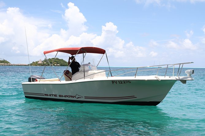 Private Bora Bora Lagoon & Water Lunch Experience - Drinks, shade, and comfort on the boat