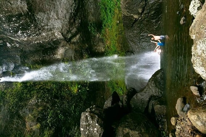 Private Breathtaking Koroyanitu Half Day Waterfall Hike - Is the Koroyanitu waterfall hike worth it?