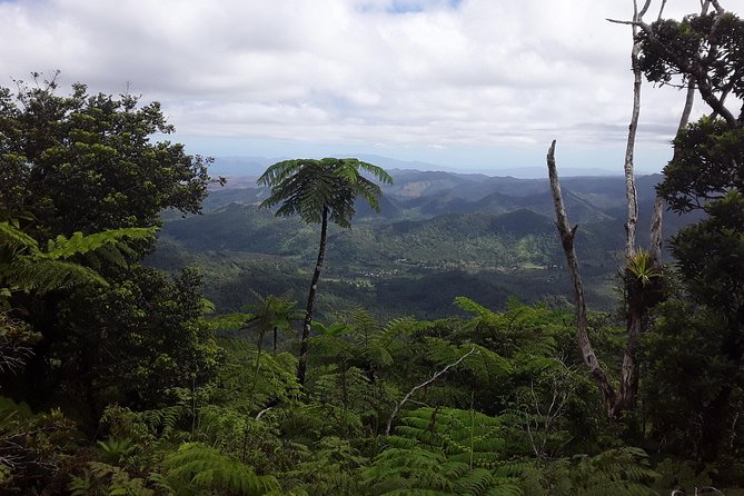 Private Breathtaking Mnt Victoria Day Trek - Peni’s role in the experience