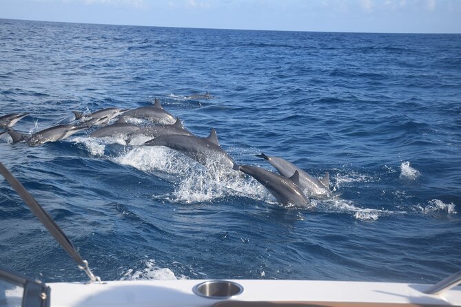 Private Day Trip Hike and Boat in Moorea - Three hours with Moorea’s marine life