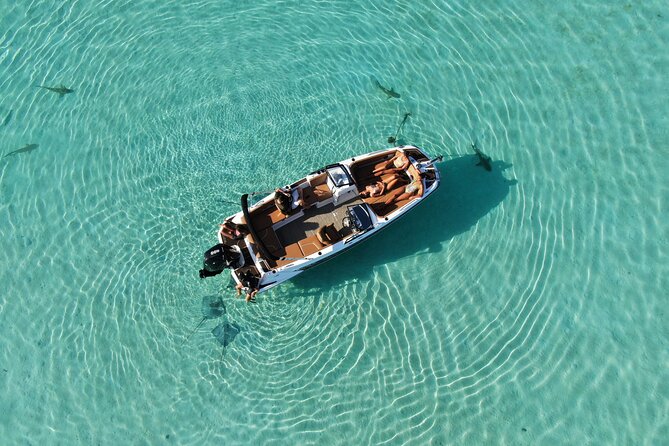 Private Day Trip Hike and Boat in Moorea - The guides make the difference