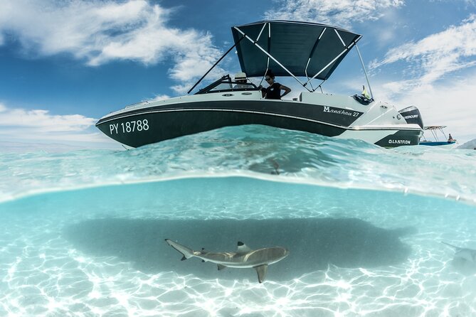 Private Day Trip Hike and Boat in Moorea - Who should book this experience?