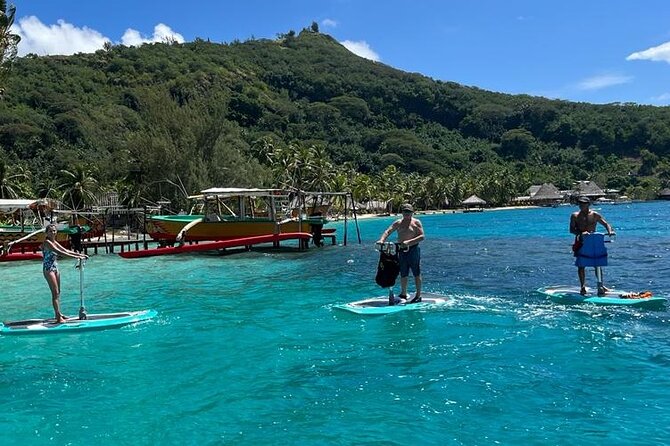 Private Electric Paddle Cruise in Bora Bora - A private outing for families and small groups