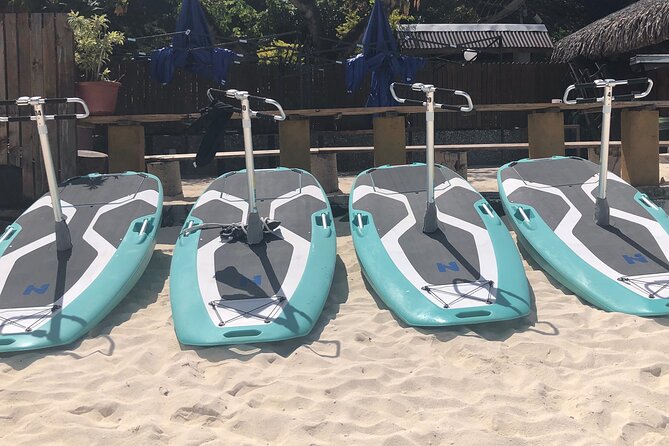 Private Electric Paddle Cruise in Bora Bora - What to bring and how to prepare
