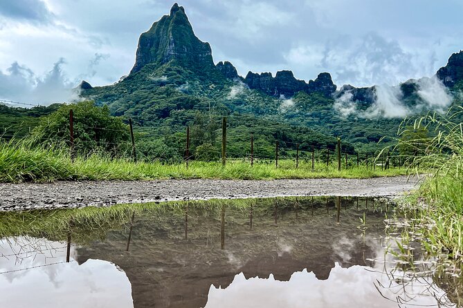 Private excursion to Moorea, photo tour & immersive discovery - A private photo outing across Moorea
