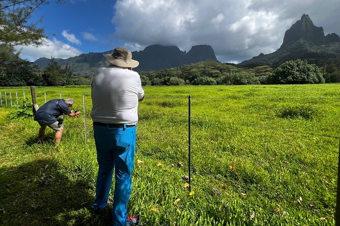 Private excursion to Moorea, photo tour & immersive discovery - Cook Bay and the two-bay view