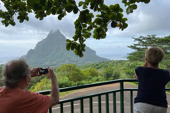 Private excursion to Moorea, photo tour & immersive discovery - Price, group size, and overall value