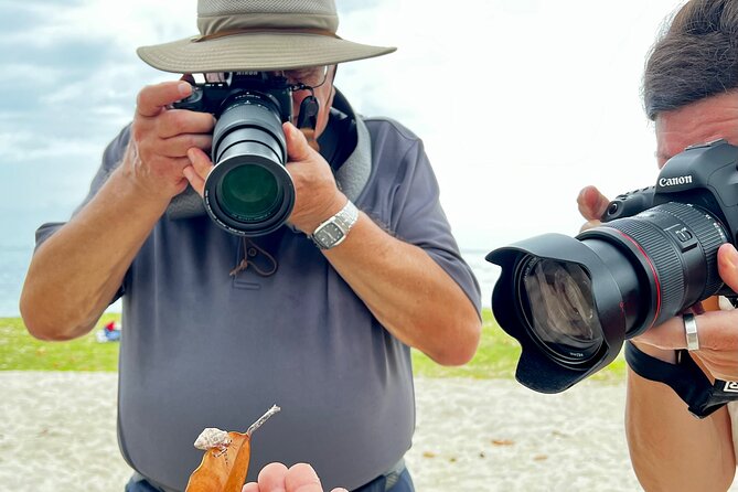 Private excursion to Moorea, photo tour & immersive discovery - Opunohu Bay from the water’s edge
