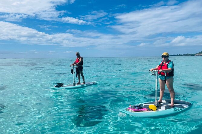 Private Excursion with E-Board in Moorea with snorkeling - Following the lagoon toward Maharepa