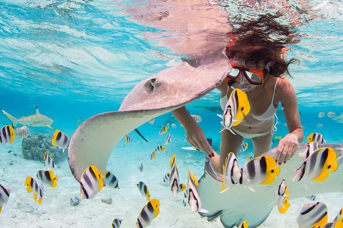 Private Full Day Aquatic Photo Tour + Resort Photo-Shoot (All inclusive) - The resort session starts your morning