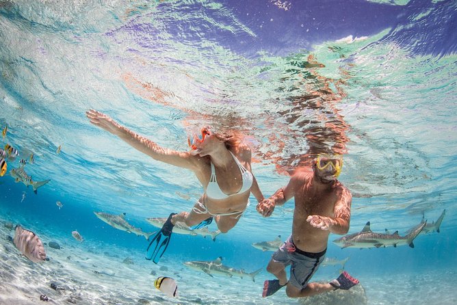 Private Full Day Aquatic Photo Tour + Resort Photo-Shoot (All inclusive) - The motu stop adds lunch and a change of pace