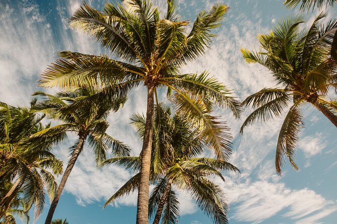 Private Full-Day Lagoon Adventure in Bora Bora with BBQ Lunch - Who should book this Bora Bora lagoon tour?