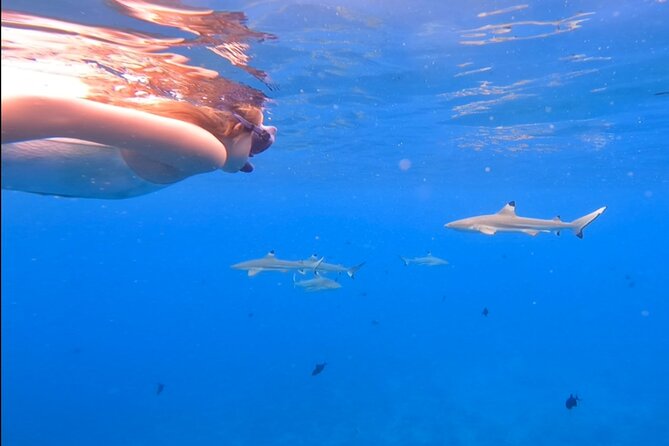 Private Full Day Lagoon Safari and Lunch on a Motu in Bora Bora - Weather, comfort, and practical limits