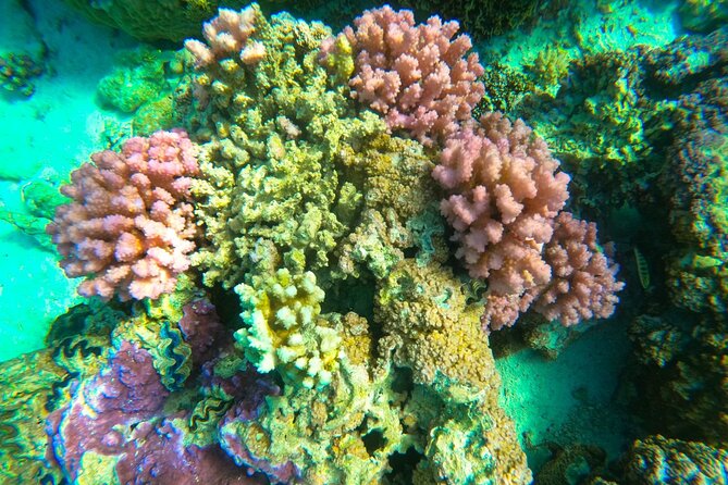Private Full Day Lagoon Safari and Lunch on a Motu in Bora Bora - Who will get the most from this Bora Bora tour?