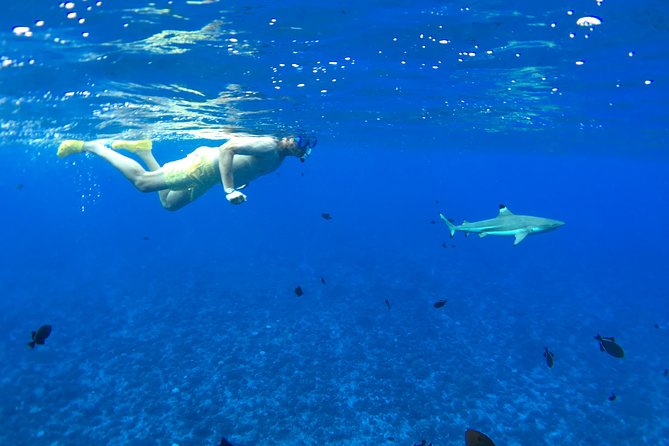 PRIVATE FULL DAY LAGOON TOUR - Bora Bora Cultural Lagoon Tour - A Private Start on Bora Bora’s Lagoon