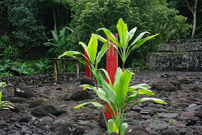 Private Full-Day Tahiti — Grotto, Gardens & Panoramas - Lunch in Papeari and the cost question