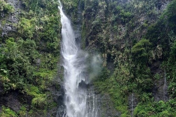 Private Full Day Tour of Tahiti - Vairao offers an unusual stop with sacred eels