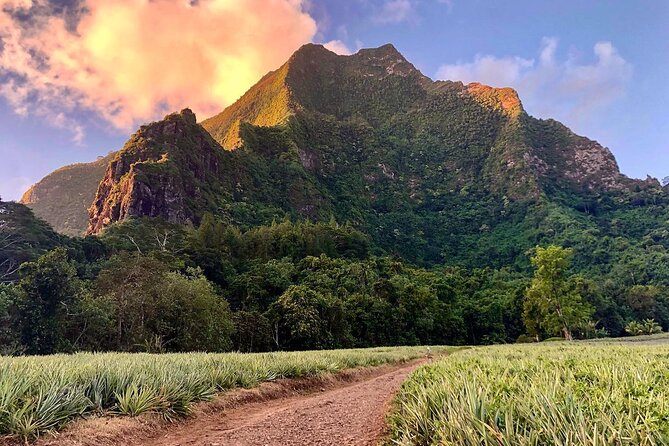 Private Half-Day Hike in the Opunohu Valley in Moorea - Starting at Criobe Moorea
