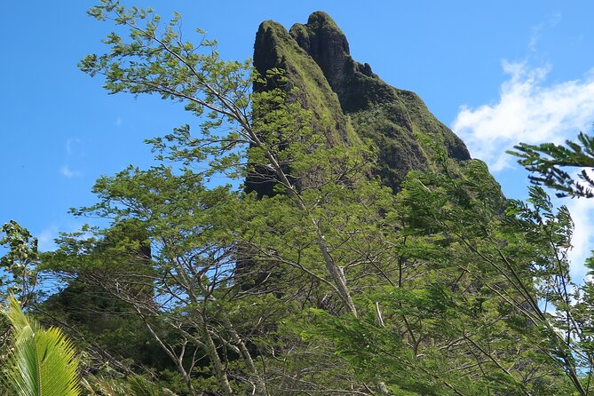 Private Half-Day Hike in the Opunohu Valley in Moorea - Climbing toward the Col des 3 Cocotiers