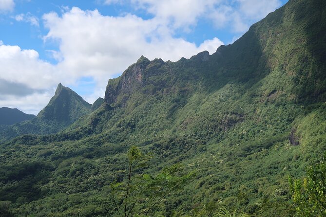 Private Half-Day Hike in the Opunohu Valley in Moorea - Reaching the 3 Pinus viewpoint