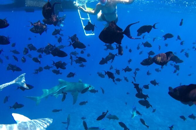 PRIVATE HALF DAY LAGOON TOUR - Bora Bora Cultural Lagoon Tour - A Sandbank Fruit Break