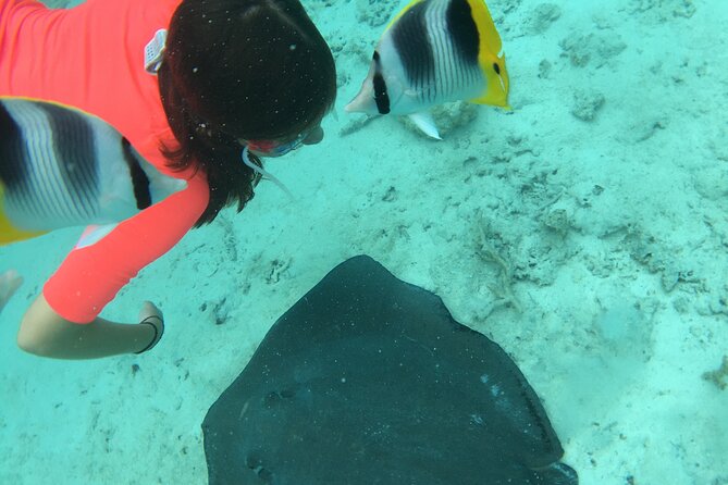 PRIVATE HALF DAY LAGOON TOUR - Bora Bora Cultural Lagoon Tour - Second Stop: Coral Gardens and Hundreds of Fish