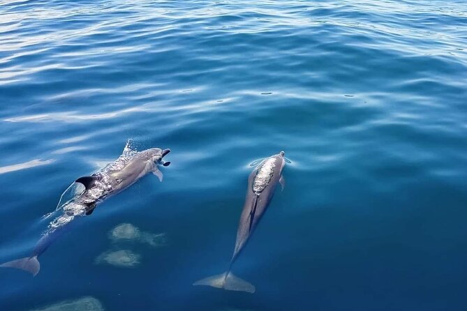 Private Half Day Sailing Excursion on the Lagoon of Tahiti - Who will enjoy this most?