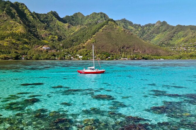 PRIVATE Half Day Tour : Moorea Snorkeling & Sailing on a Catamaran named Taboo - Snorkeling with rays and blacktip reef sharks
