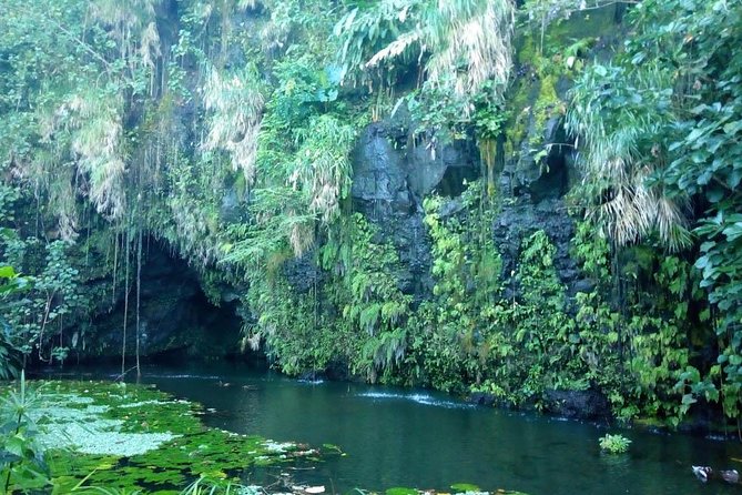 Private Island Tour ( 5 HOURS) - Vaipahi Gardens reward plant lovers