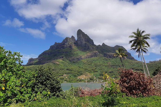 Private Island Tour by ATV / QUAD - Four viewpoints, four different ways to see the island