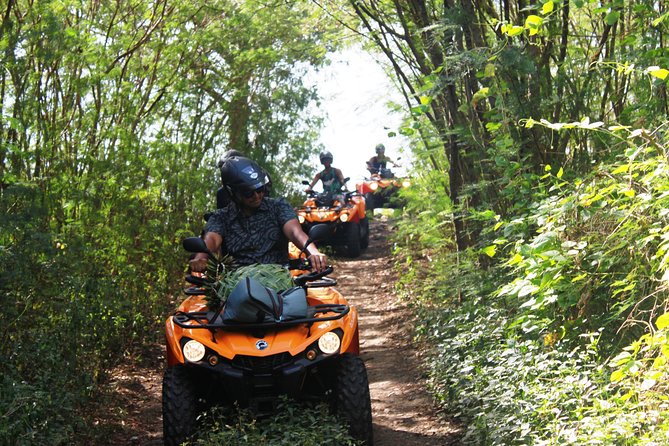 Private Island Tour by ATV / QUAD - Fruit, juice, and a useful pause