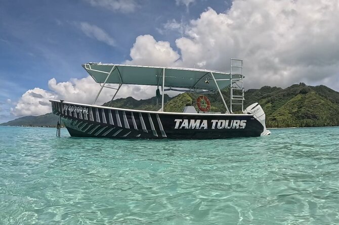 Private Lagoon Exploration and Snorkeling in Moorea - Turtles and colorful fish around the reef